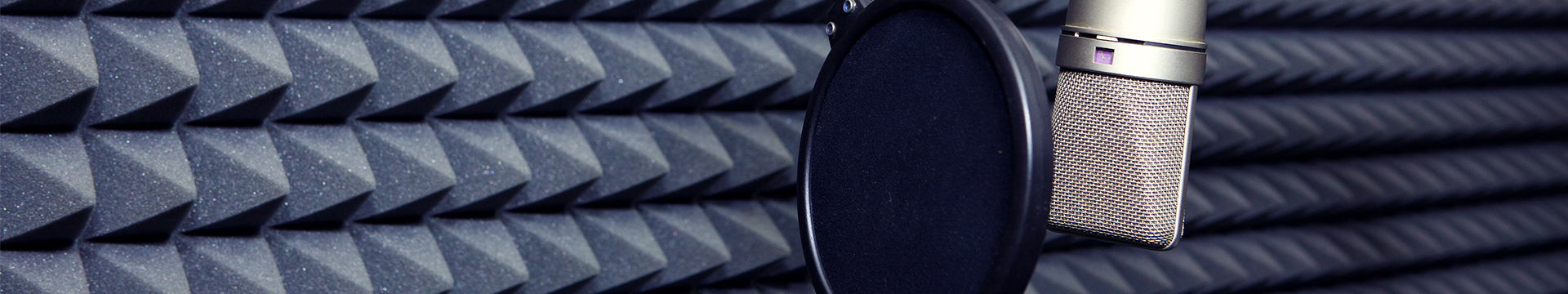 banner-voice-over.png
